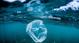 塑胶海洋